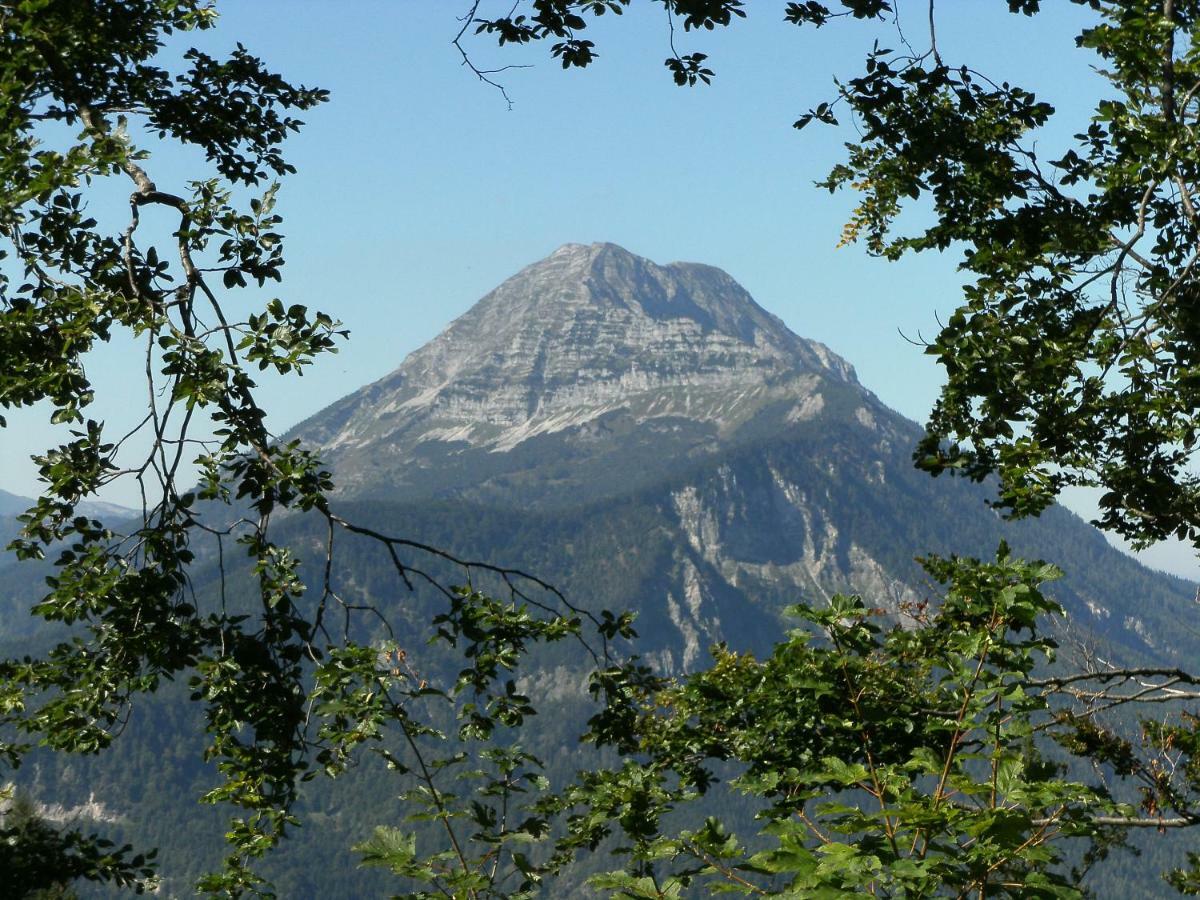 Отель Berghof Гаминг Экстерьер фото