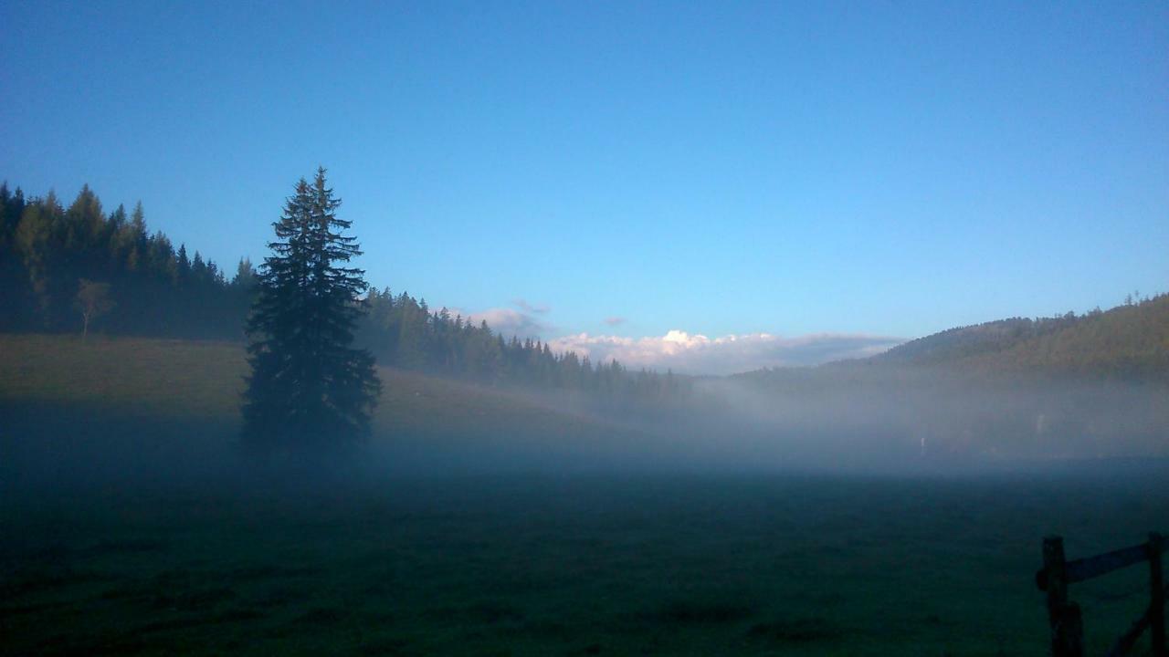 Отель Berghof Гаминг Экстерьер фото