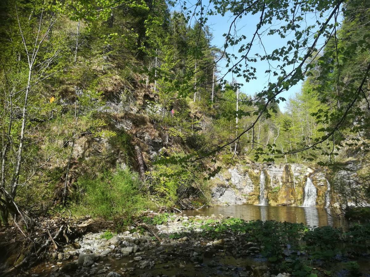 Отель Berghof Гаминг Экстерьер фото